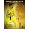 Apacs Thunderdome Pro 6.2 Dark Grey Cheah Liek Hou Badminton Racket (4U)